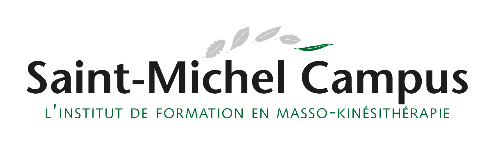 Saint-Michel-logo_IFMK-6tkgh