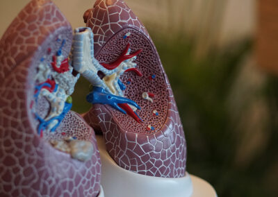 Kinésithérapie respiratoire : des bases physiologiques à la pratique clinique