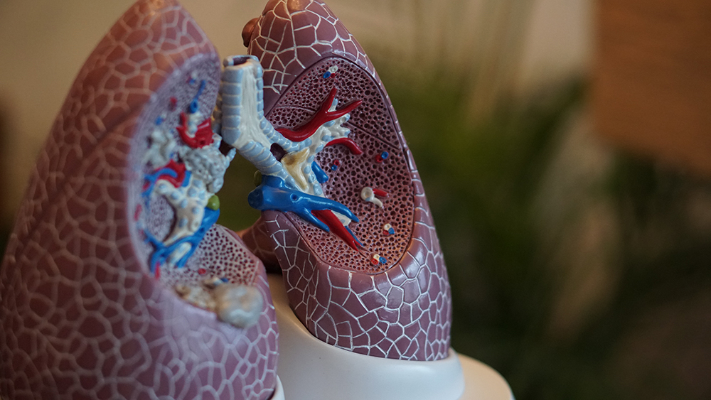 Kinésithérapie respiratoire : des bases physiologiques à la pratique clinique